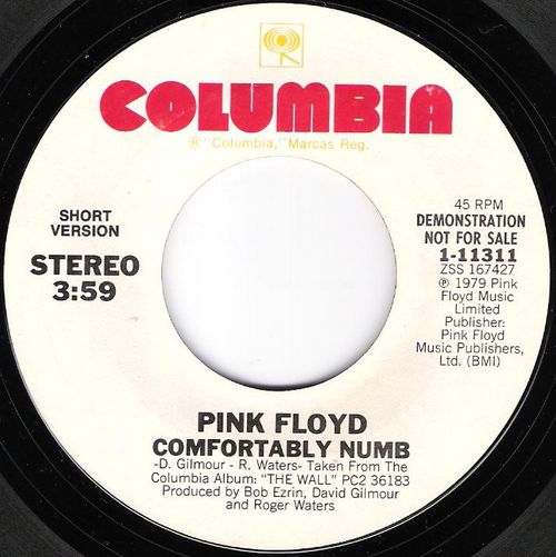 pink_floyd_-_comfortably_numb